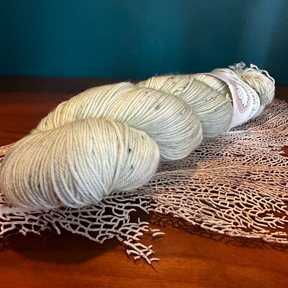 NWT - Rare and New Authentic The Sheepyshire Hand-Dyed Yarn Skein in Castaway